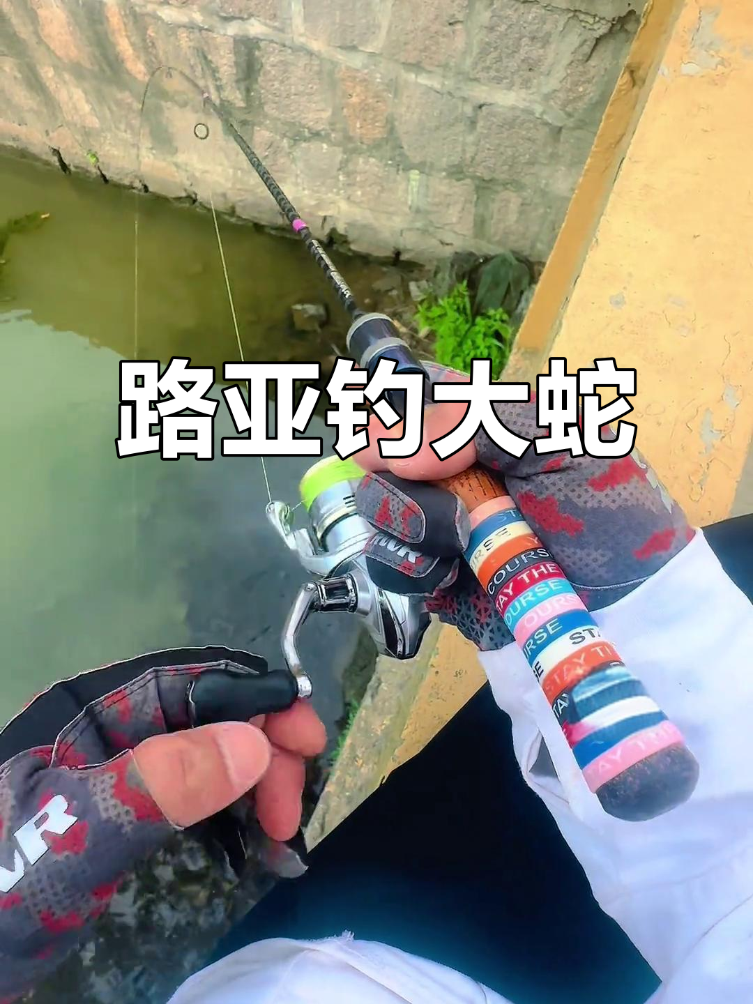 新手路亚打龟(路亚怎么钓乌龟)