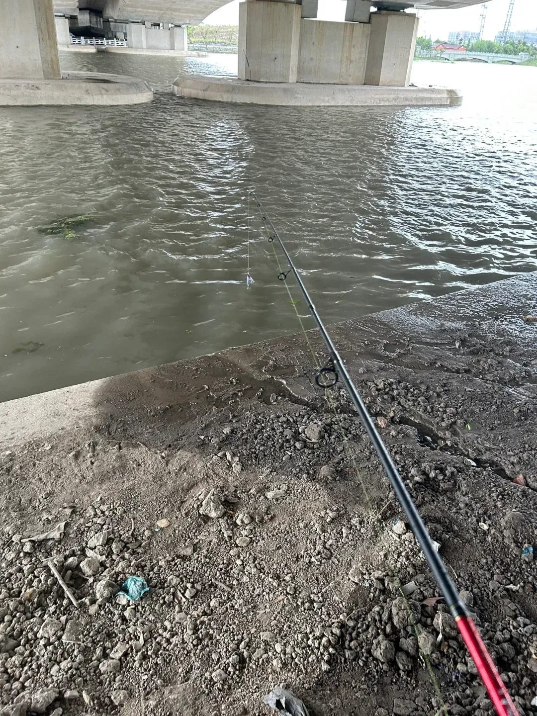 新手路亚打龟(路亚怎么钓乌龟)