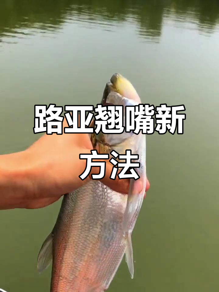 钓翘嘴技巧用什么钩(钓翘嘴用什么钩型)