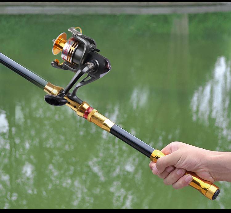 钓鱼渔具(钓鱼渔具品牌排行榜)