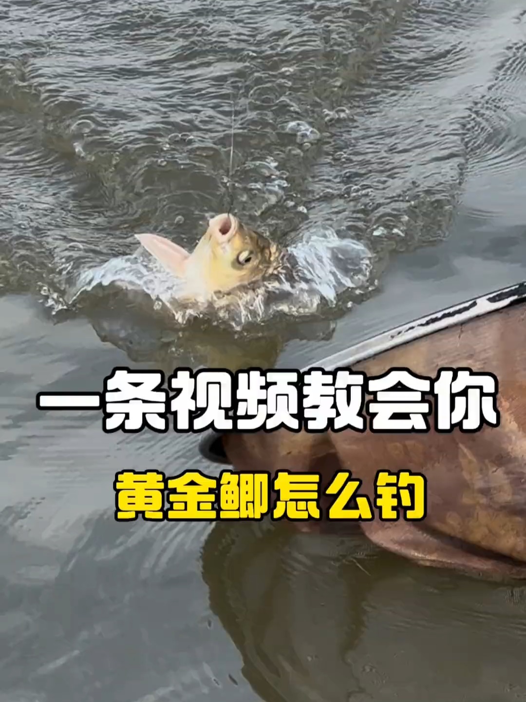 黑坑抛竿技巧视频(黑坑抛竿翻线手法)