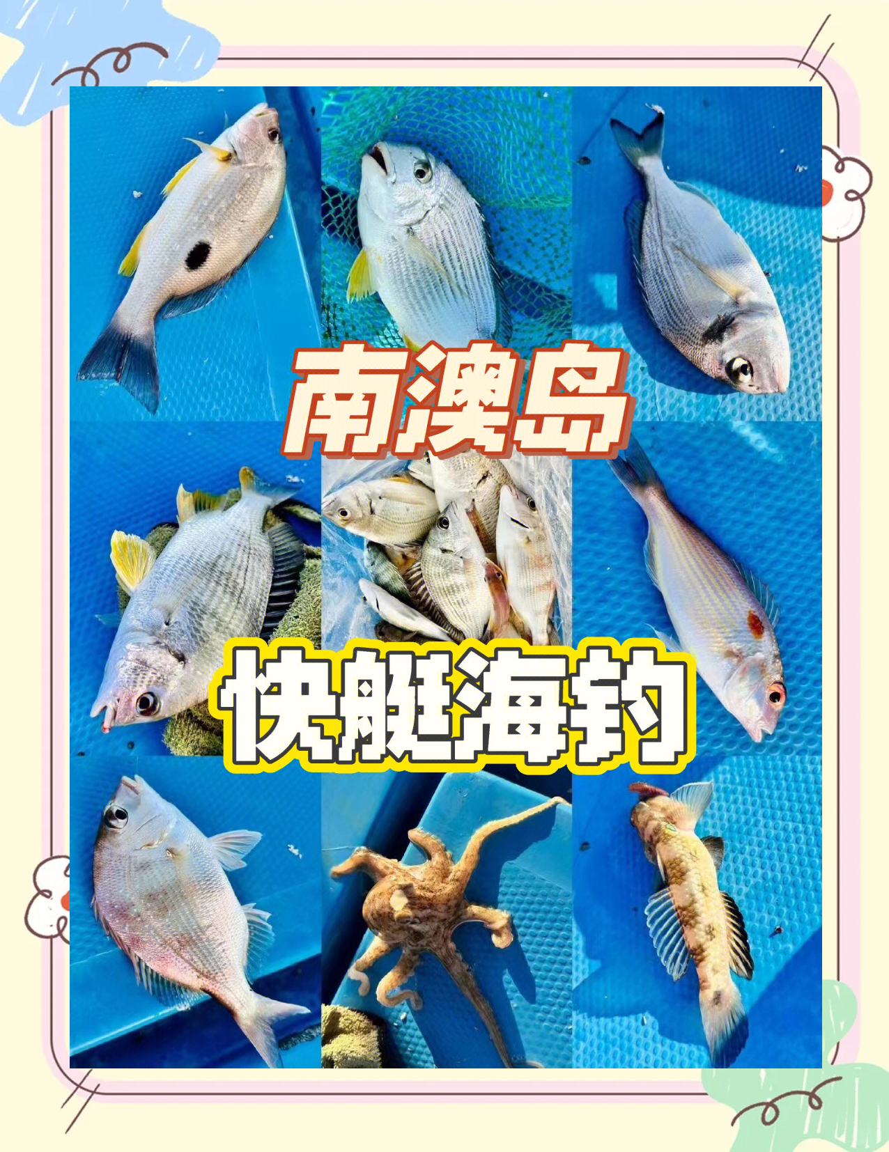 海钓有几种技巧(海钓有几种技巧视频)