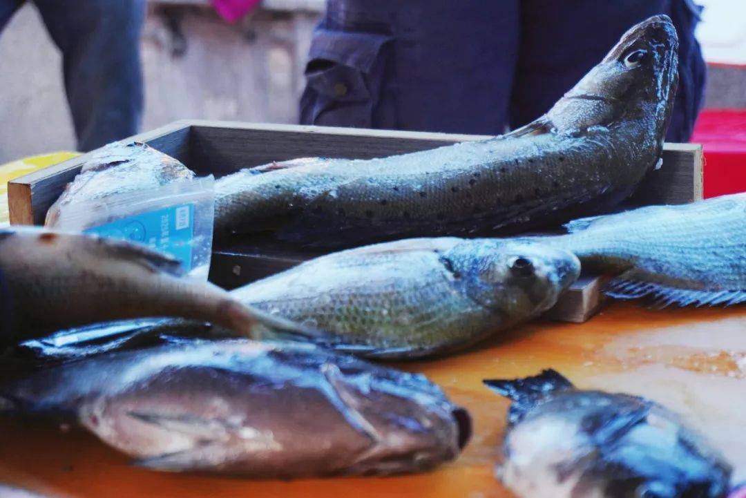 宁德市岩海钓(宁德市领导公示名单)