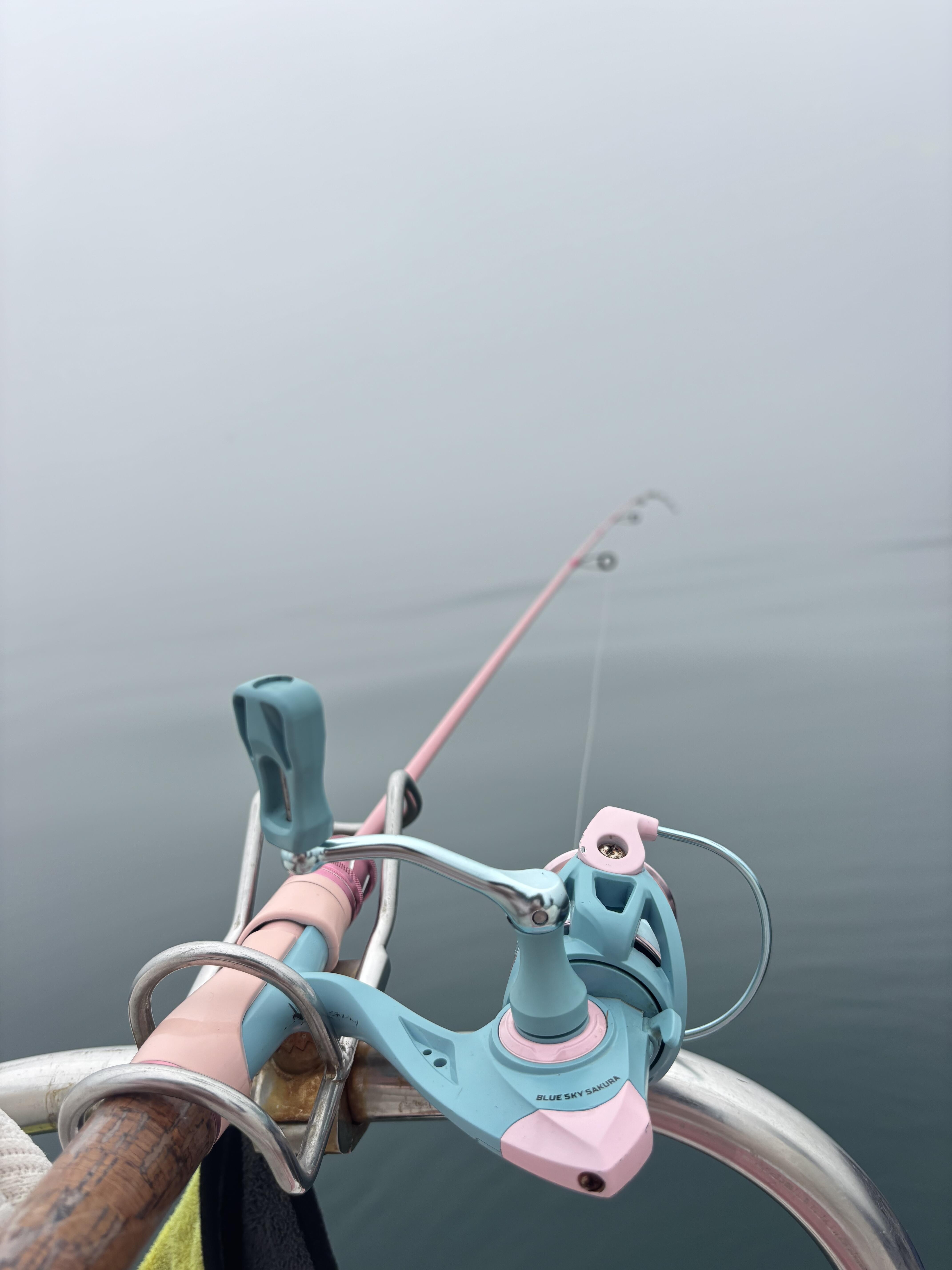 京唐港哪能海钓(2021京唐港海钓潮汐表)