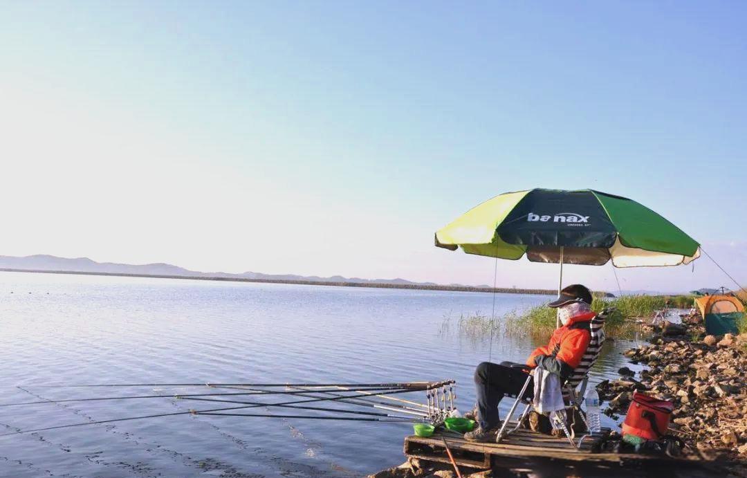 春天起大风钓鱼技巧(春天起大风钓鱼技巧图片)