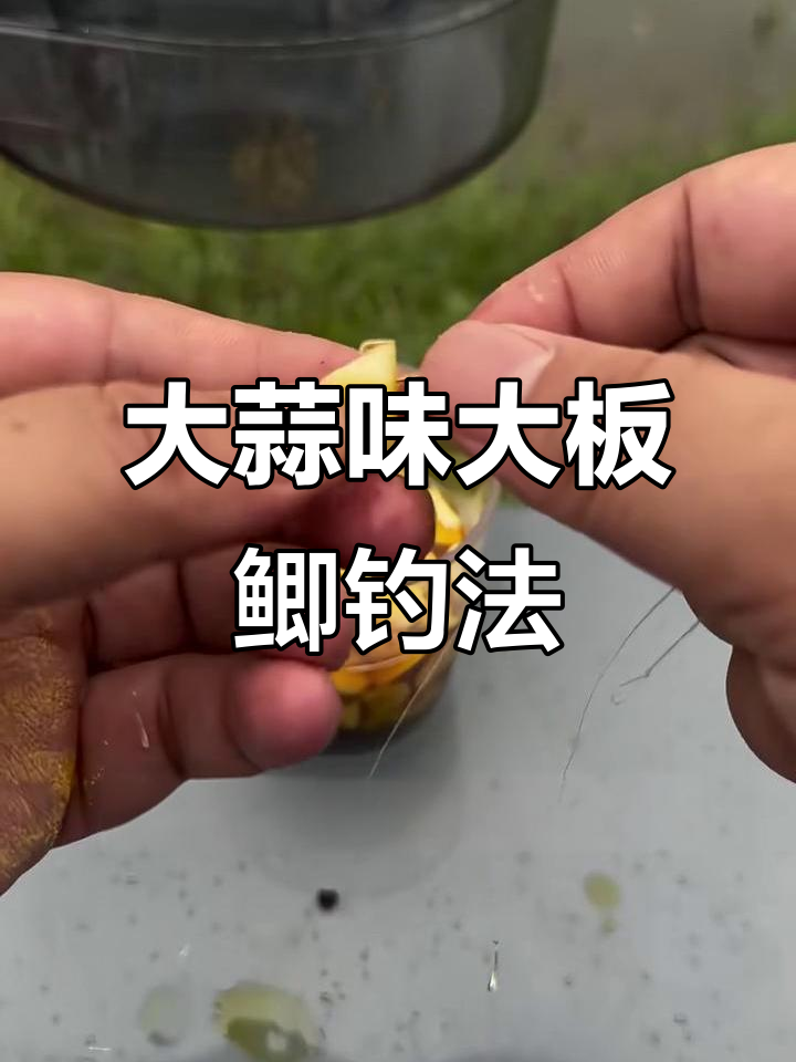 冬季蒜味饵料(蒜味的饵料夏天好钓鱼吗)