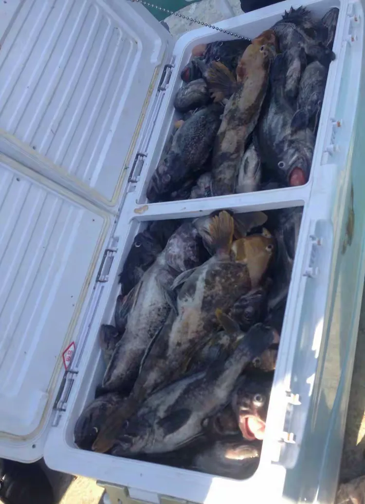 农历十五不好海钓原因(农历十五适合赶海吗)