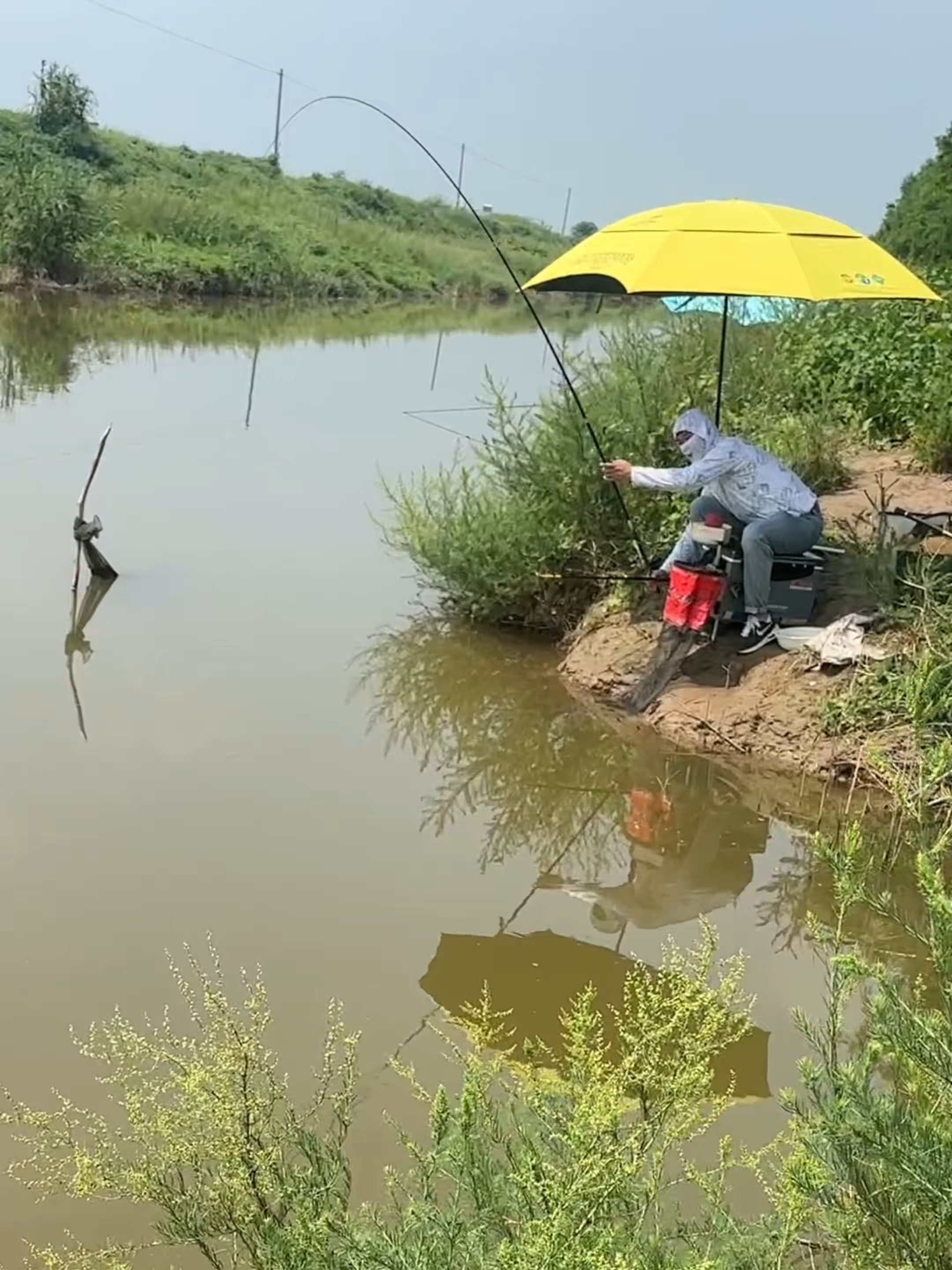 掏塘技巧钓鱼(挖塘技巧)