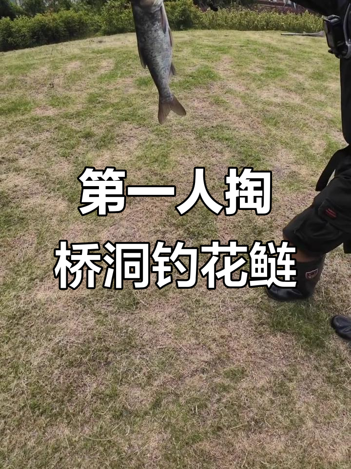 掏塘技巧钓鱼(挖塘技巧)