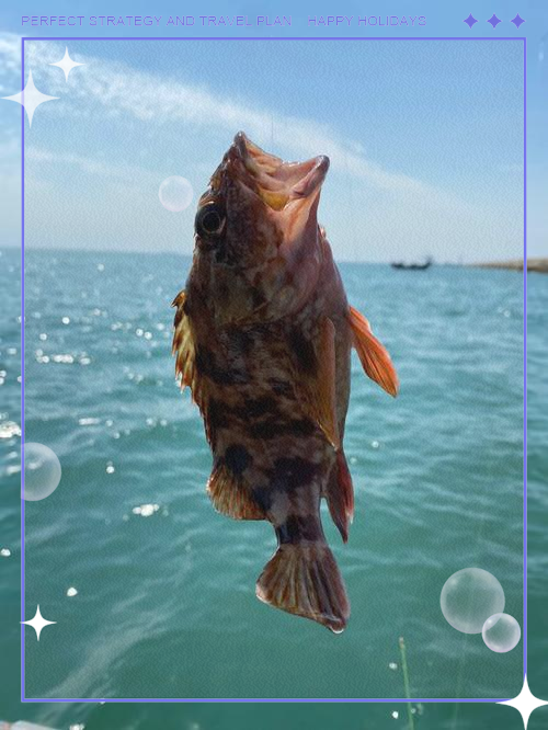 海钓流头(海钓水流急钓法)