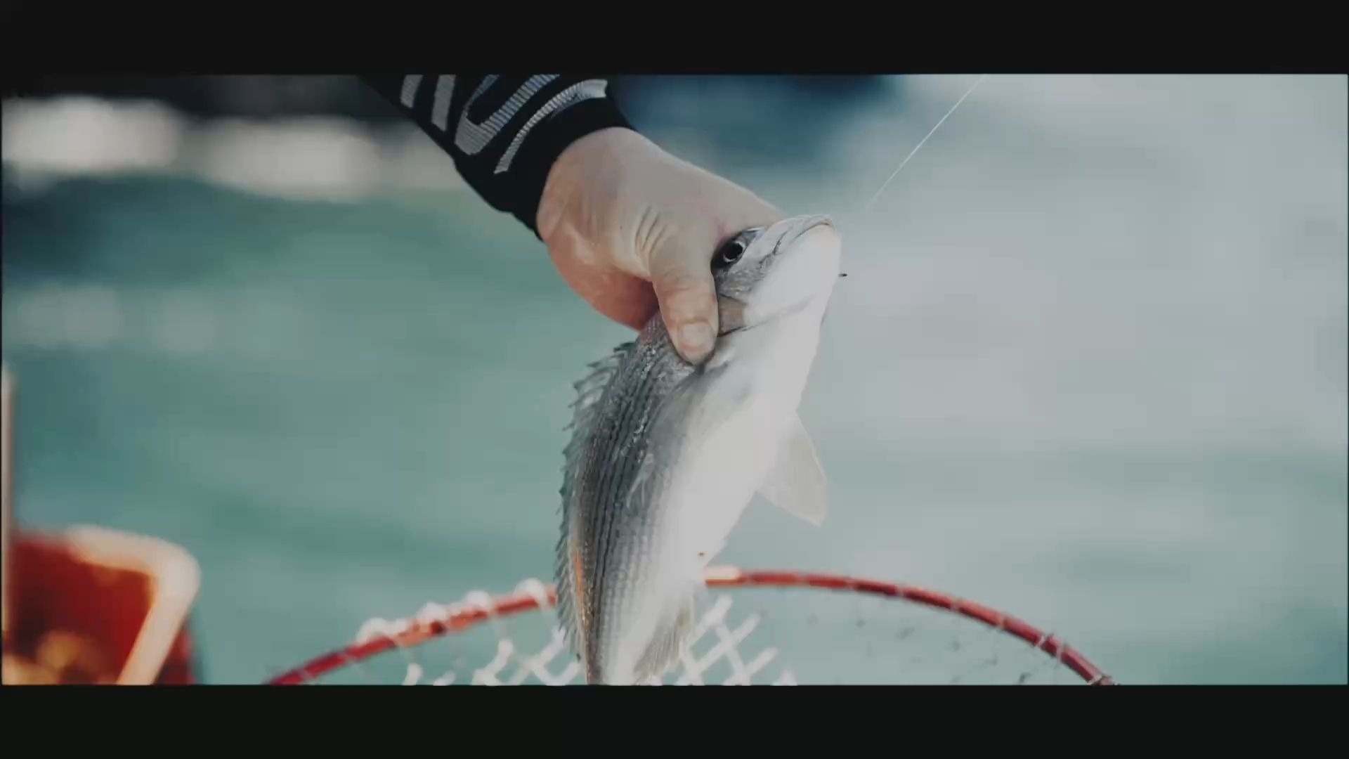 宁波哪里海钓好(宁波出海钓鱼)