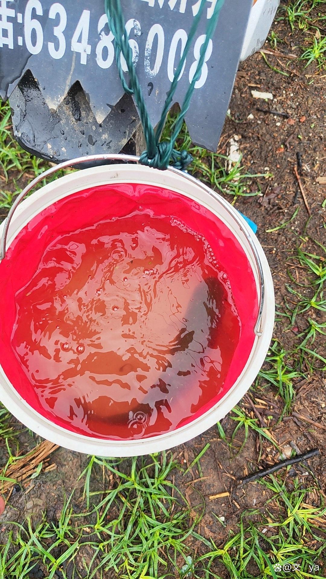 富春江钓鱼技巧(富春江的鱼好钓吗)