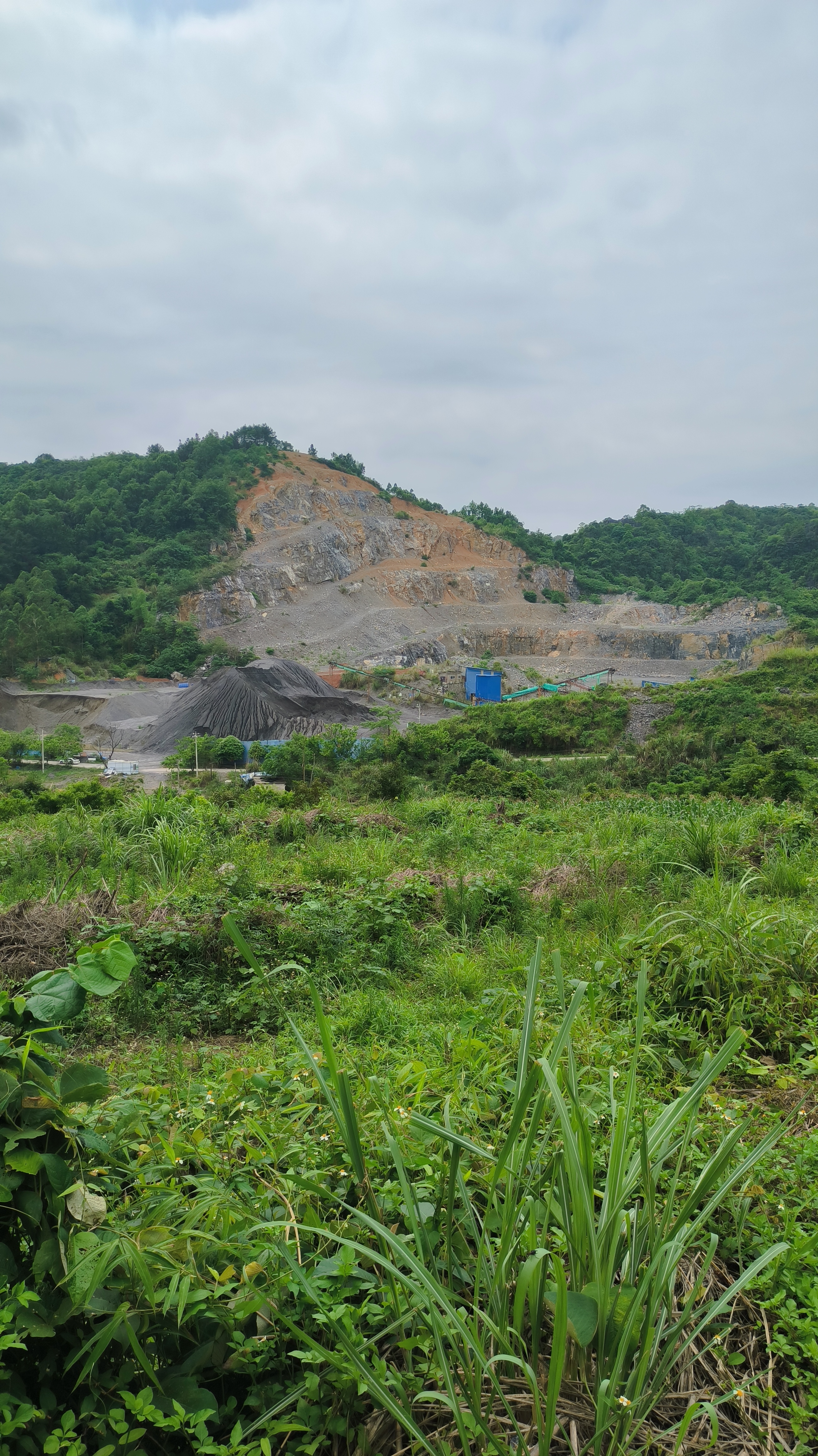 路亚生产基地(路亚厂家批发)