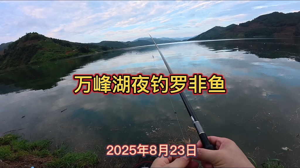 冬季夜钓罗非技巧(冬季野钓罗非技巧) 冬季夜钓罗非技巧(冬季野钓罗非技巧)