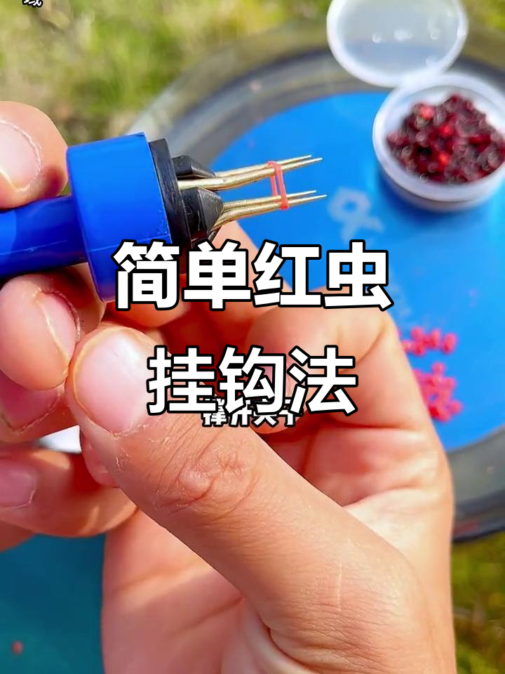红虫挂钩技巧(红虫挂钩技巧图解) 红虫挂钩技巧(红虫挂钩技巧图解)
