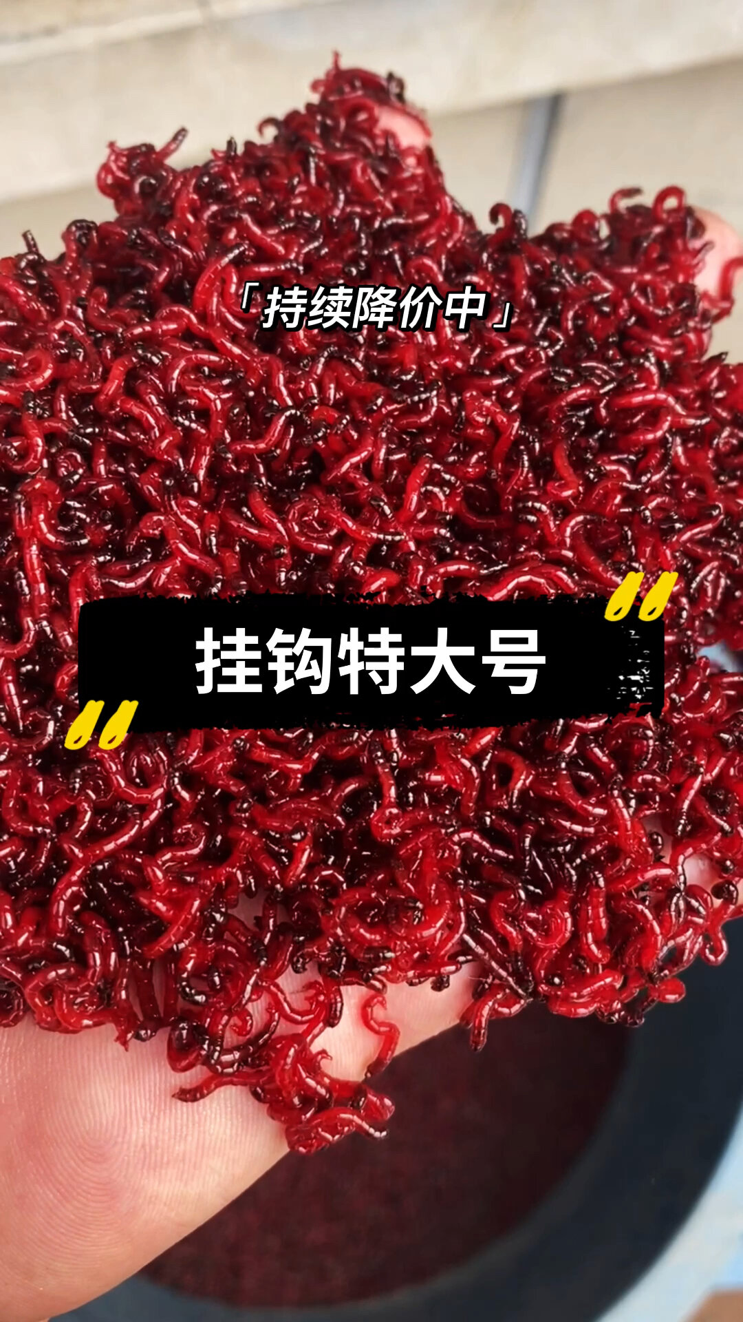红虫挂钩技巧(红虫挂钩技巧图解) 红虫挂钩技巧(红虫挂钩技巧图解)
