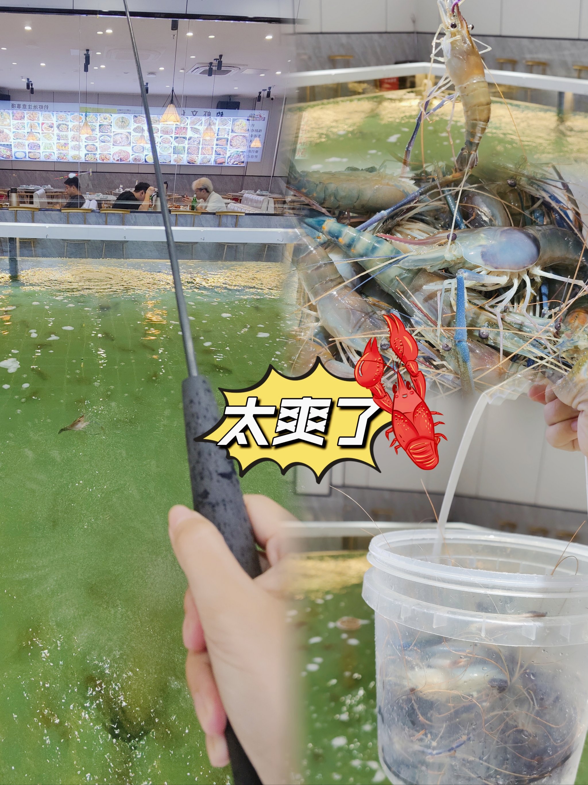 海钓活虾哪里有(海钓活虾怎么挂钩图解)