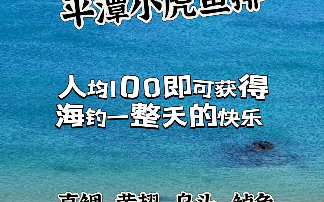 海钓鱼排电话(渔民海钓排钓视频)