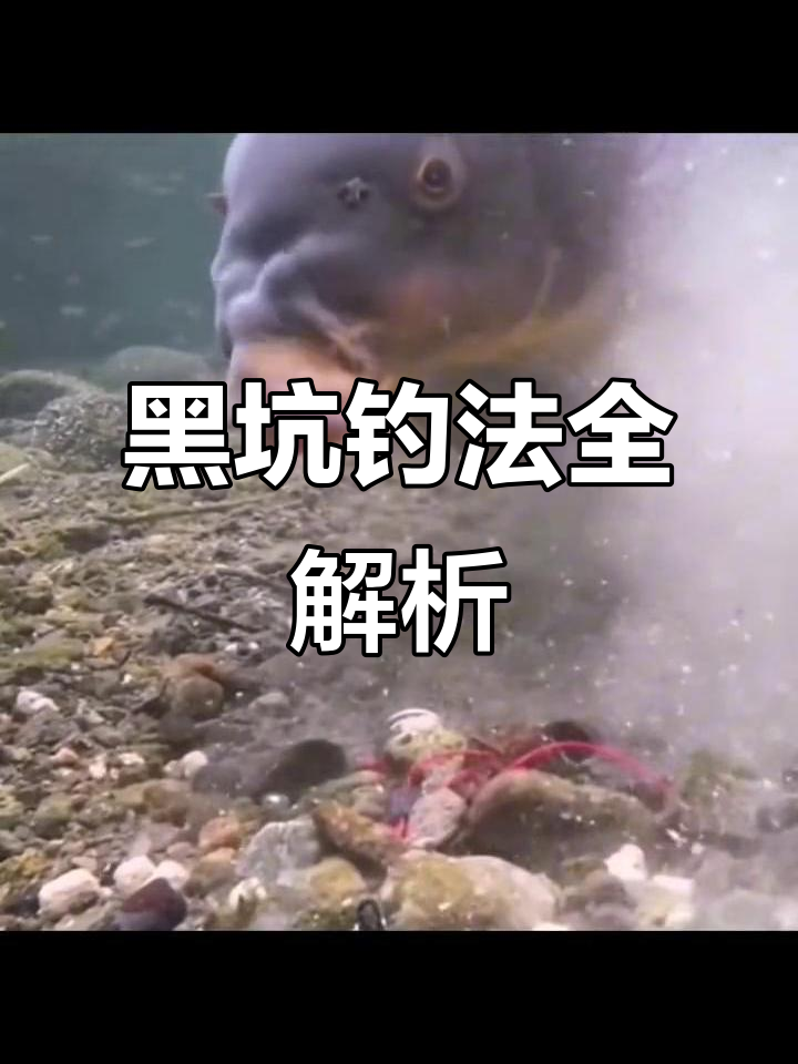 黑坑布置技巧(黑坑坑底怎么设计) 黑坑布置技巧(黑坑坑底怎么设计)