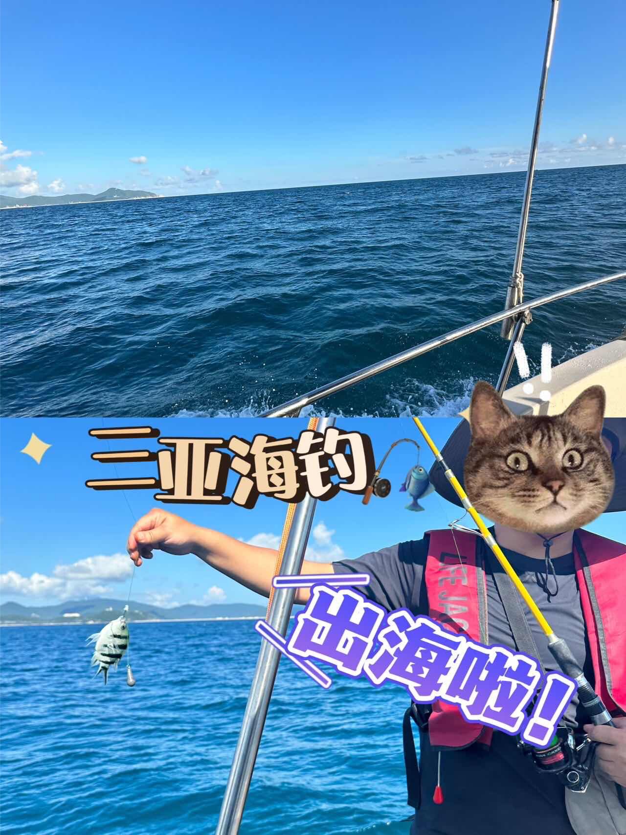 海钓玩家海钓玩家(海钓体验)