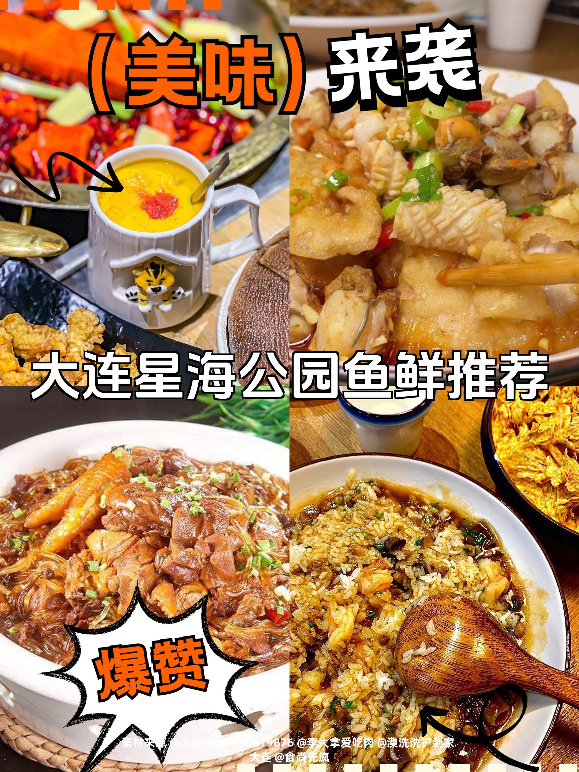 大连星海钓什么鱼(大连星海能赶海吗) 大连星海钓什么鱼(大连星海能赶海吗)