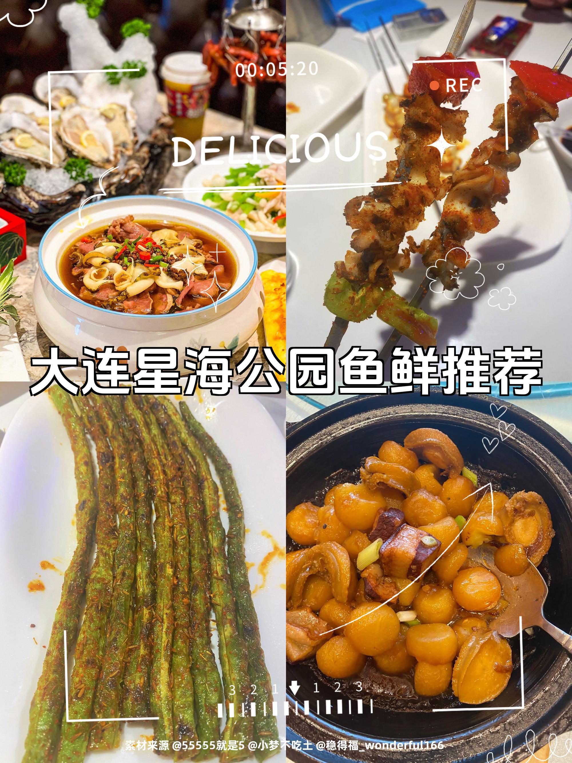 大连星海钓什么鱼(大连星海能赶海吗) 大连星海钓什么鱼(大连星海能赶海吗)