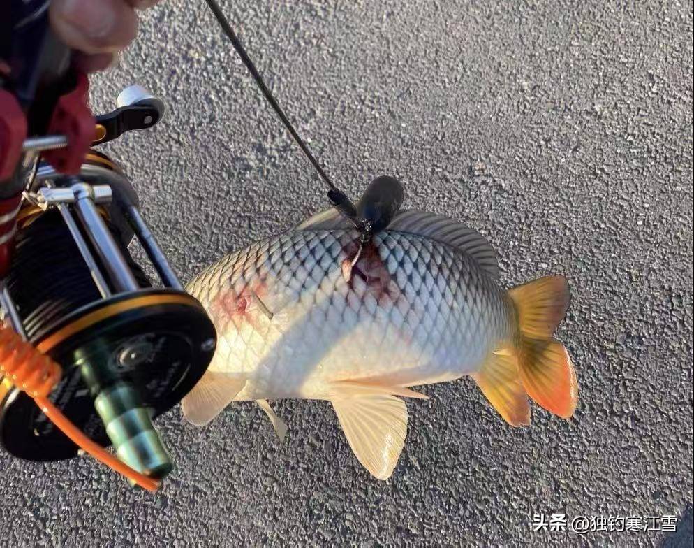 海杆锚鱼技巧(海竿锚鱼线组搭配)