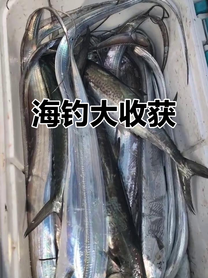 青岛几月适合海钓(青岛几月适合海钓鱼)