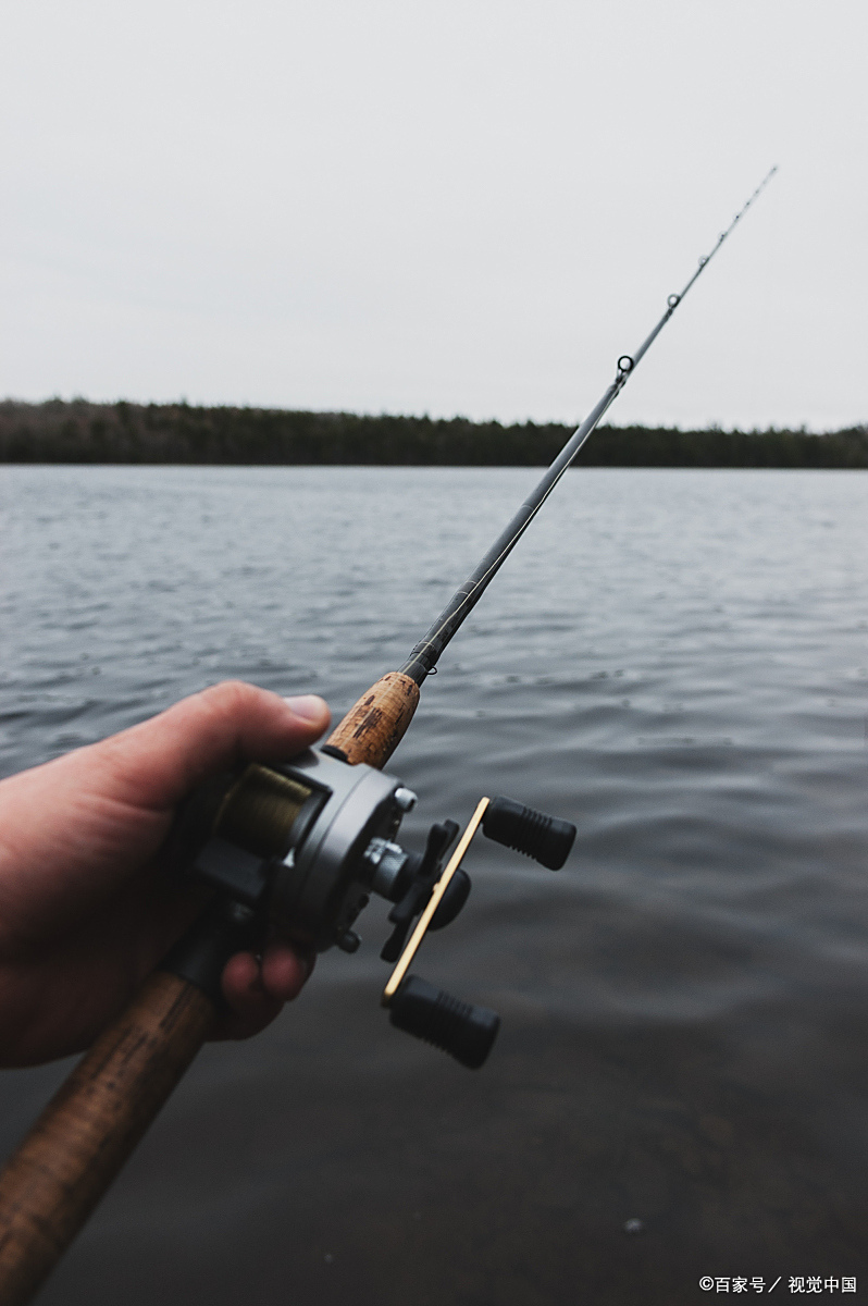 淇河路亚(十大名牌路亚竿)
