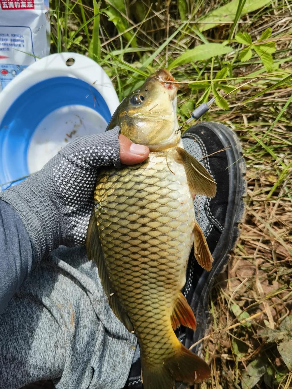 敦化雁鸣湖路亚钓鱼(雁鸣湖能钓鱼吗)