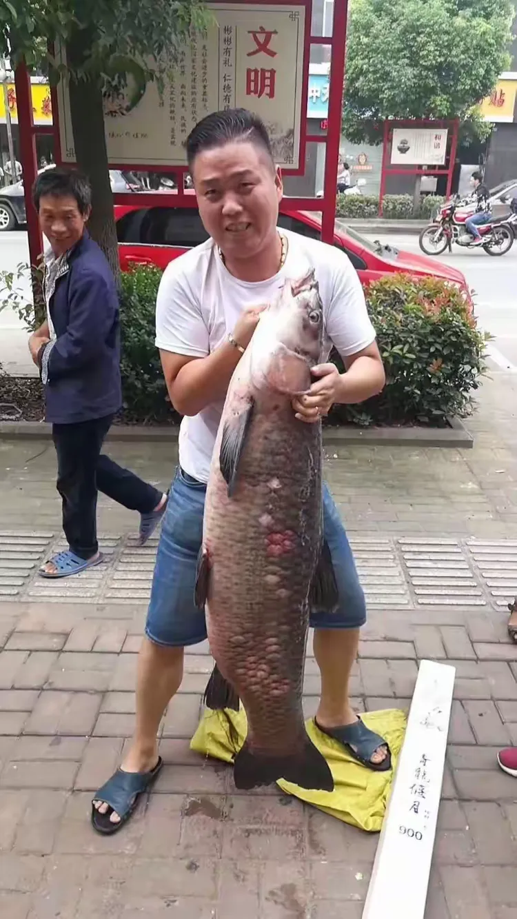 造渔具赚钱吗(怎么做渔具生意)