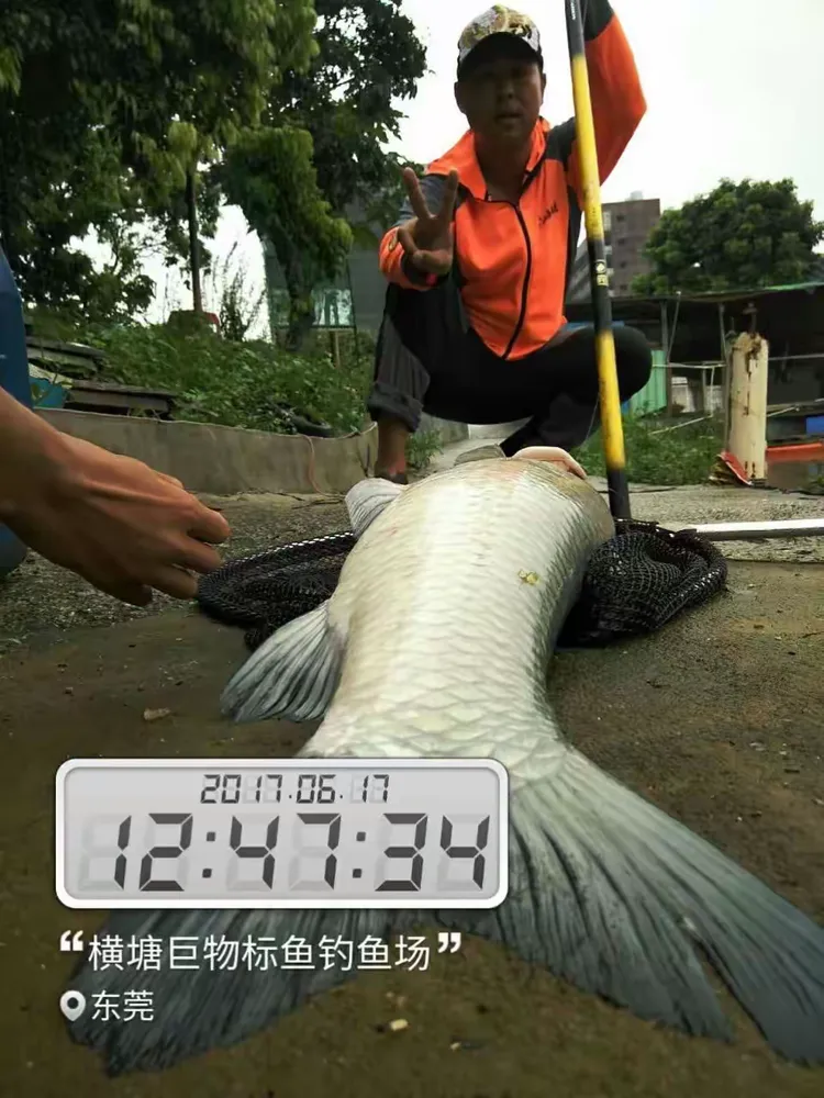 造渔具赚钱吗(怎么做渔具生意)