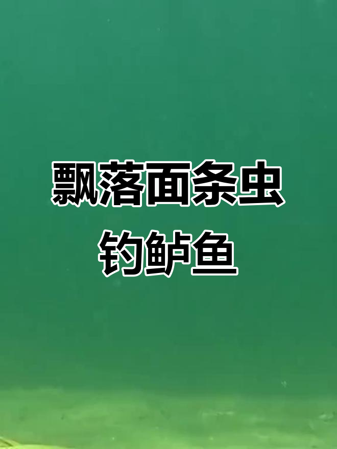 三四月份路亚鲈鱼技巧(海钓鲈鱼技巧)