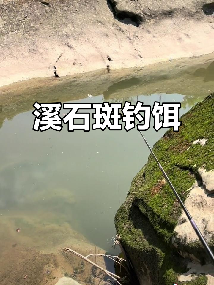 溪里面饵料(溪里的小鱼怎么钓) 溪里面饵料(溪里的小鱼怎么钓)