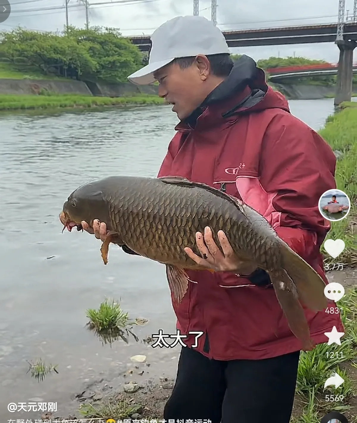 菜籽油添加饵料钓鲤鱼(鲫鱼饵料排行榜第一名)