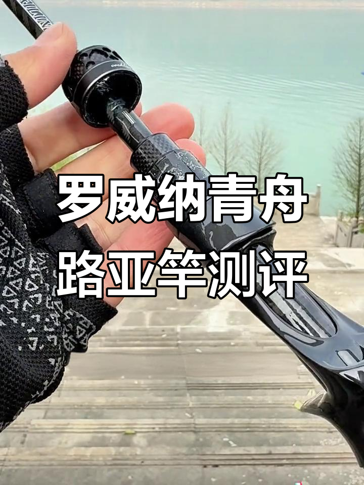 罗威纳路亚竿怎么样(买罗威纳的真实感受)