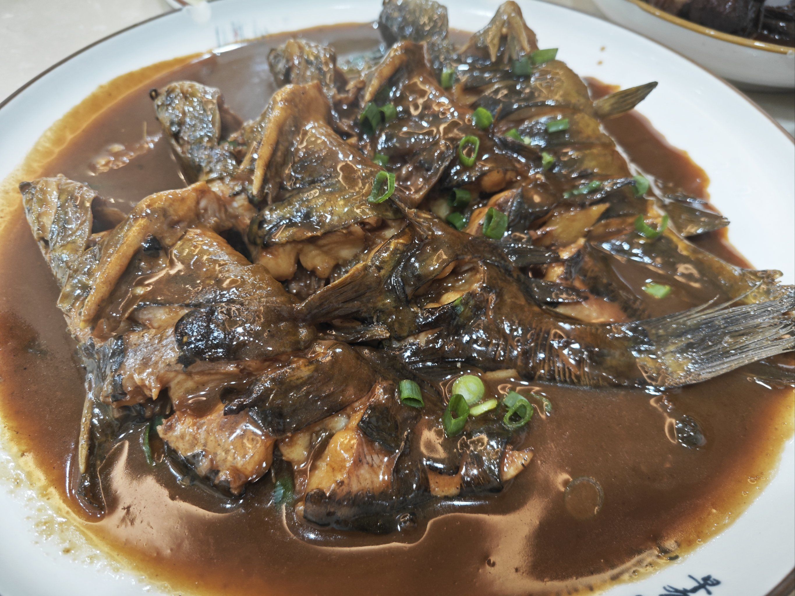 上海钓昂刺(上海钓场)