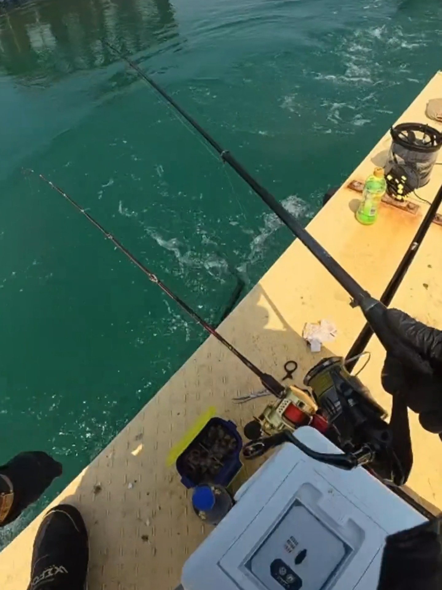 大海钓鱼比赛(大海钓鱼视频)