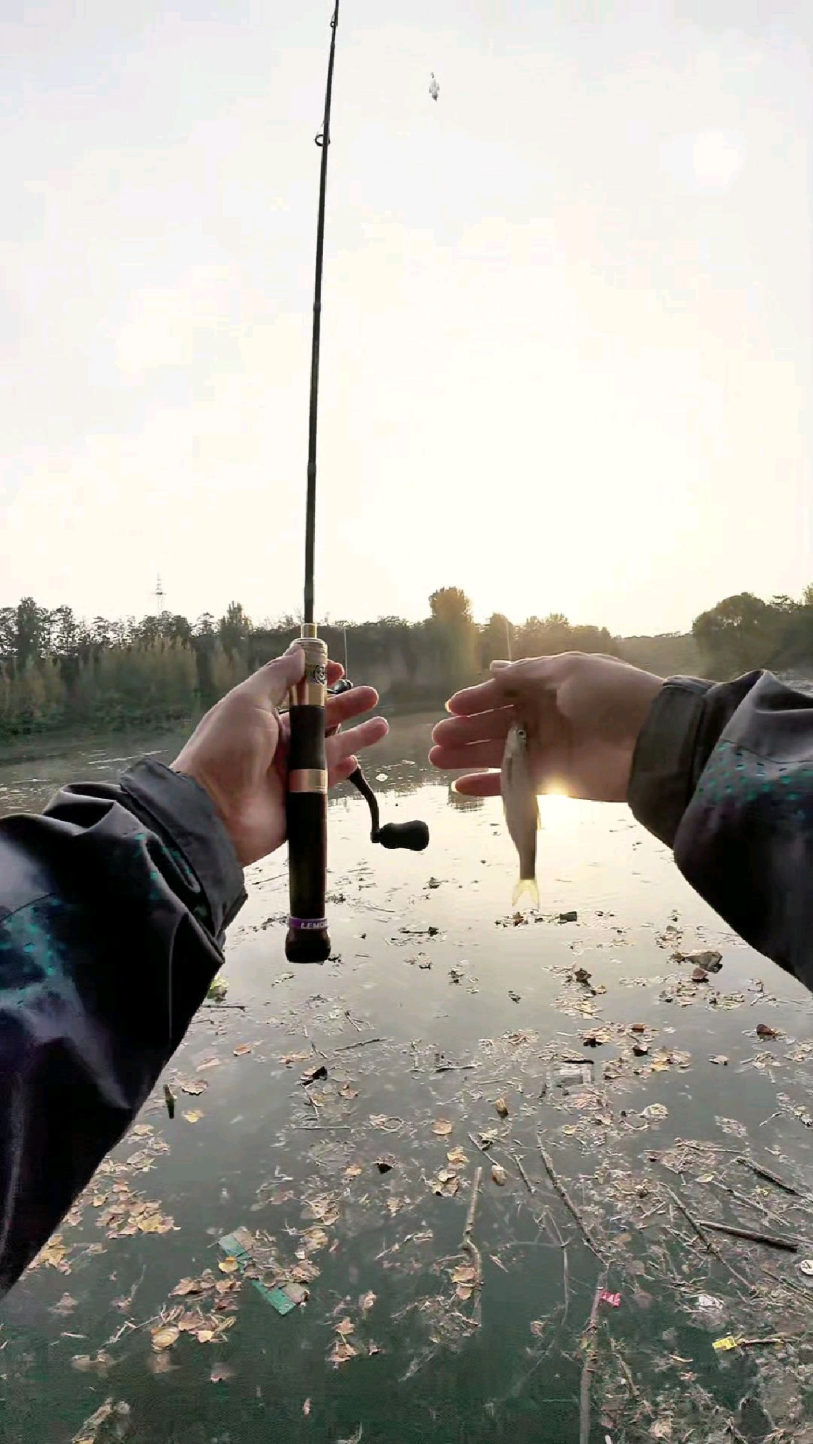 路亚亮片落水(路亚亮片会沉底吗)