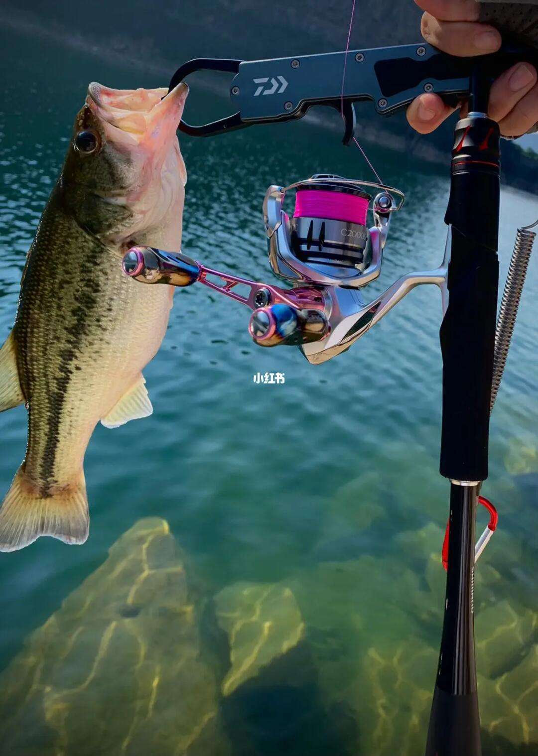 aaaa里路亚(路亚jig)