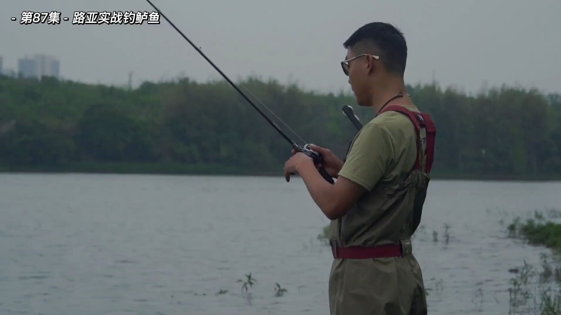 路亚钓鲈鱼视频教学(路亚竿钓鲈鱼视频)