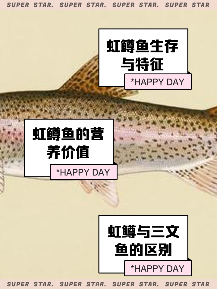 虹鳟鱼可以用路亚钓吗(虹鳟鱼可以用路亚钓吗视频) 虹鳟鱼可以用路亚钓吗(虹鳟鱼可以用路亚钓吗视频)