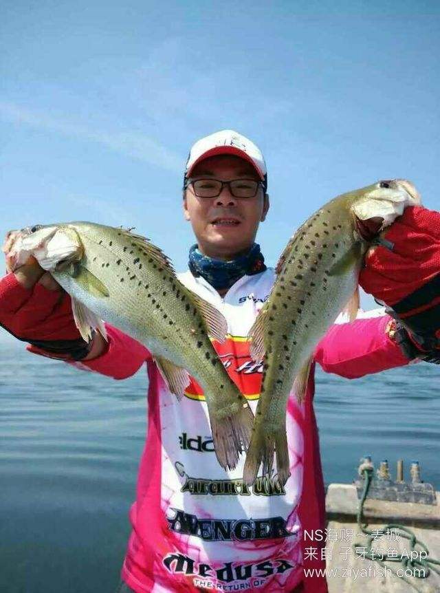 塘沽海钓鲈鱼视频(塘沽附近免费海钓)