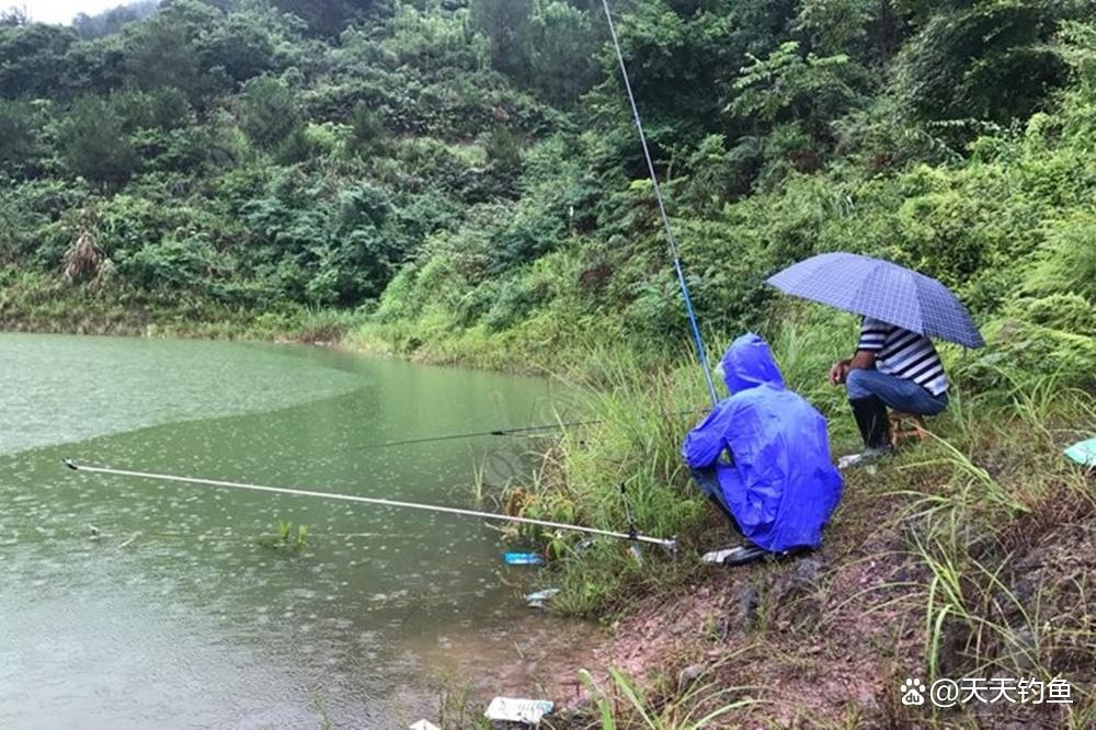 下雨天之后钓鱼技巧(下雨之后钓鱼怎么选择钓位) 下雨天之后钓鱼技巧(下雨之后钓鱼怎么选择钓位)