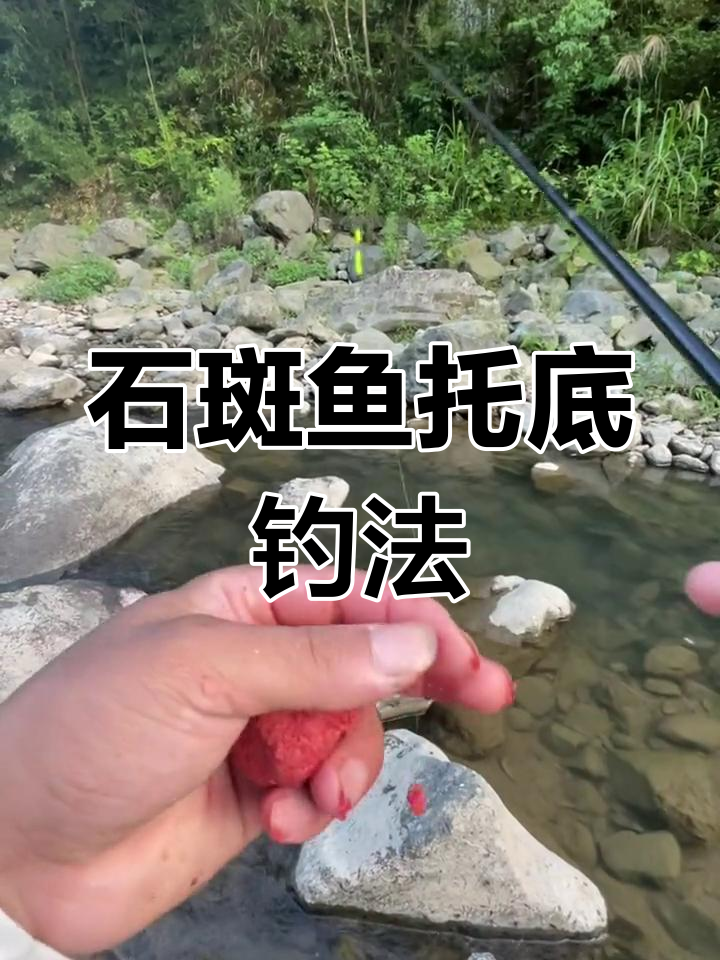 海钓石斑怎么钓啊(如何钓海石斑鱼)