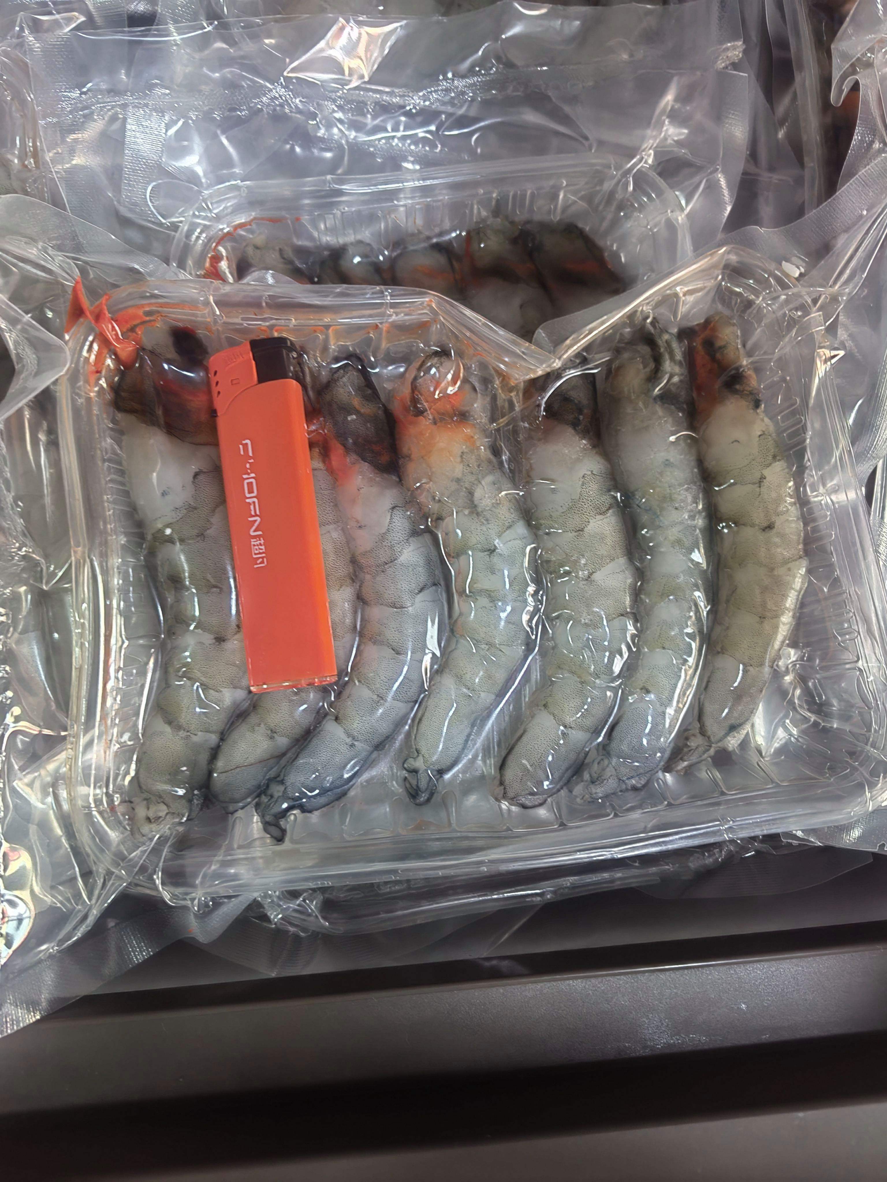 海钓的鱼饵投放(海钓 鱼饵) 海钓的鱼饵投放(海钓 鱼饵)