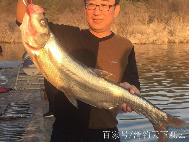 水库台钓翘嘴技巧(水库怎么钓翘嘴鱼的钓法及饵料)