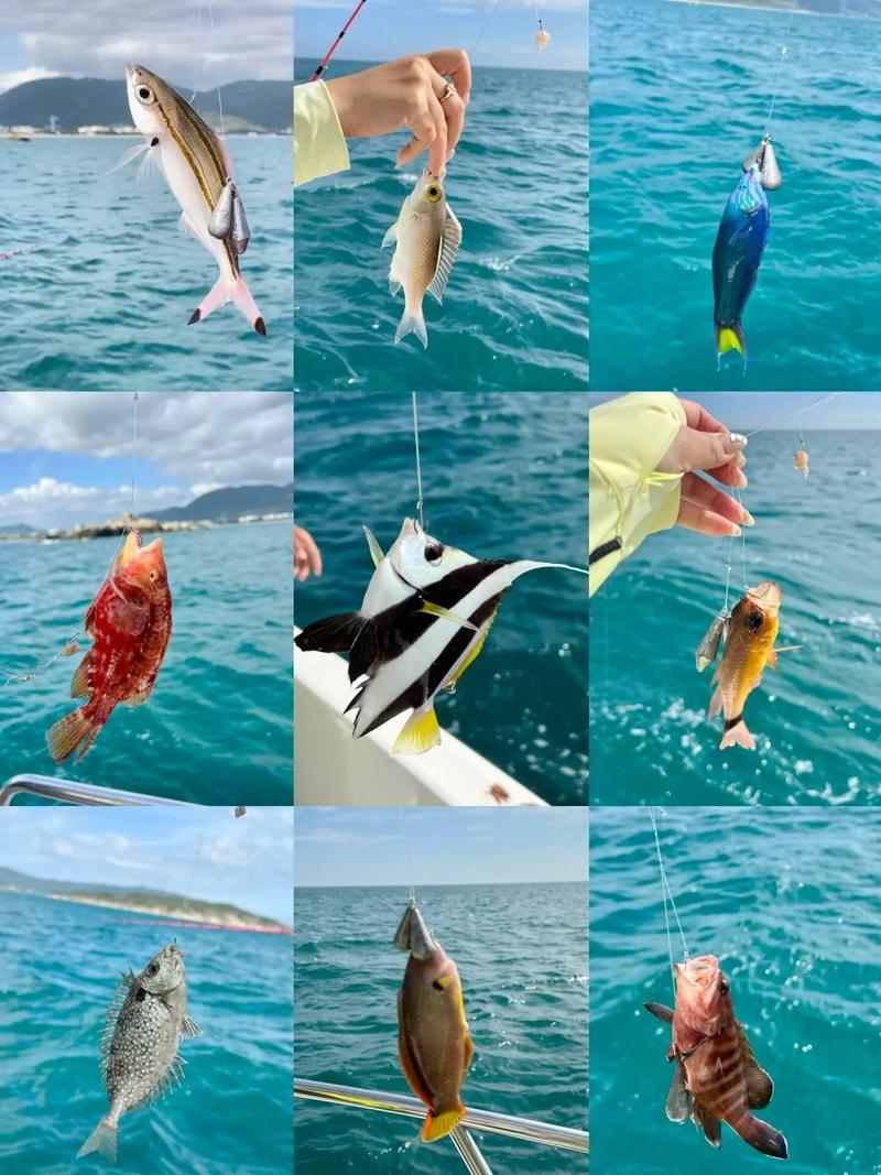 南风海钓好钓吗(南风能钓海鱼吗)