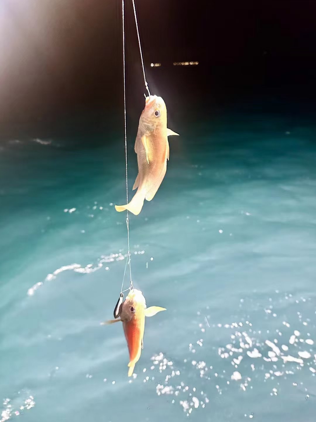 海钓亮片图片(海钓用亮片好还是用饵好)