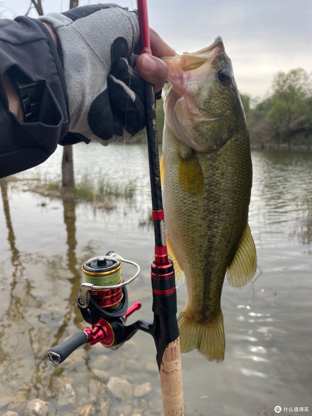 路亚杆翘嘴(路亚翘嘴用什么调竿子)